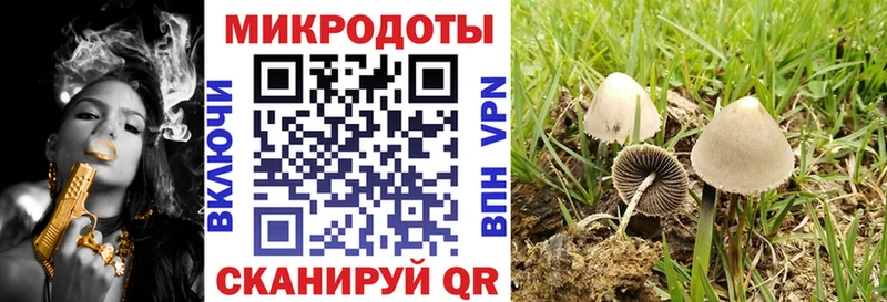 Псилоцибиновые грибы мухоморы  Купить закладки  Жиздра 